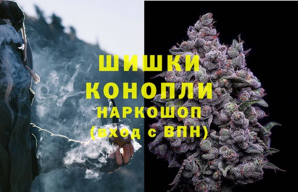 амф Мегион