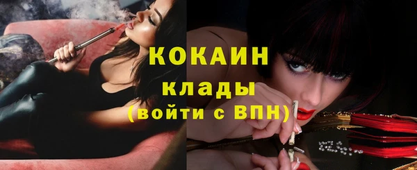 амф Мегион