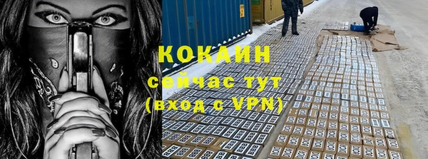 шишки Михайловск
