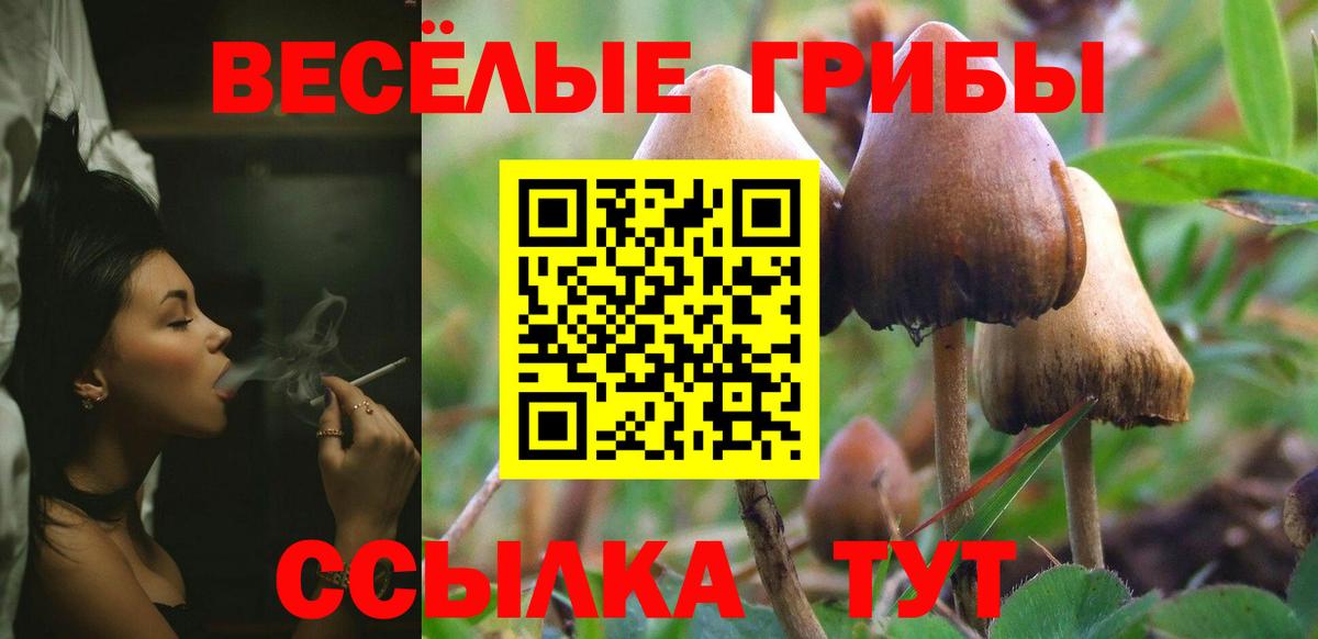 Тамбов  Галлюциногенные грибы Psilocybine cubensis  купить  сайты  Вход с VPN  Псилоцибиновые грибы ЛСД 
