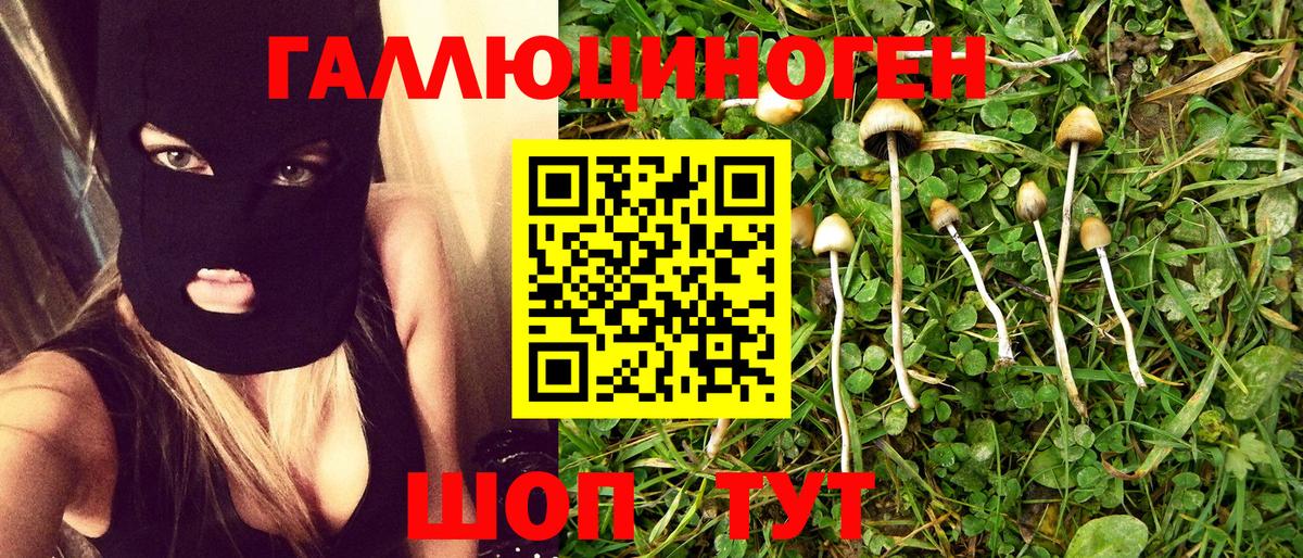 Псилоцибиновые грибы Psilocybine cubensis Тамбов