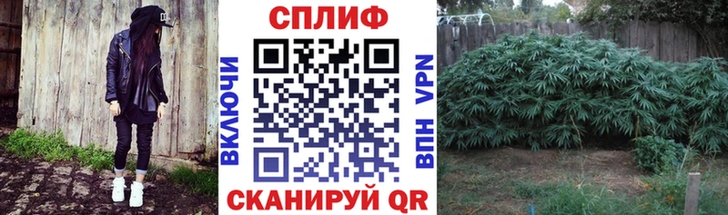 Каннабис MAZAR  KRAKEN ссылки  Тамбов  цены  